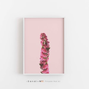 Pink Bougainvillea Print, Floral Printable Wall Art, Bougainvillea Poster , Botanical Bougainvillea Instant Download, Blush Floral Photo Art