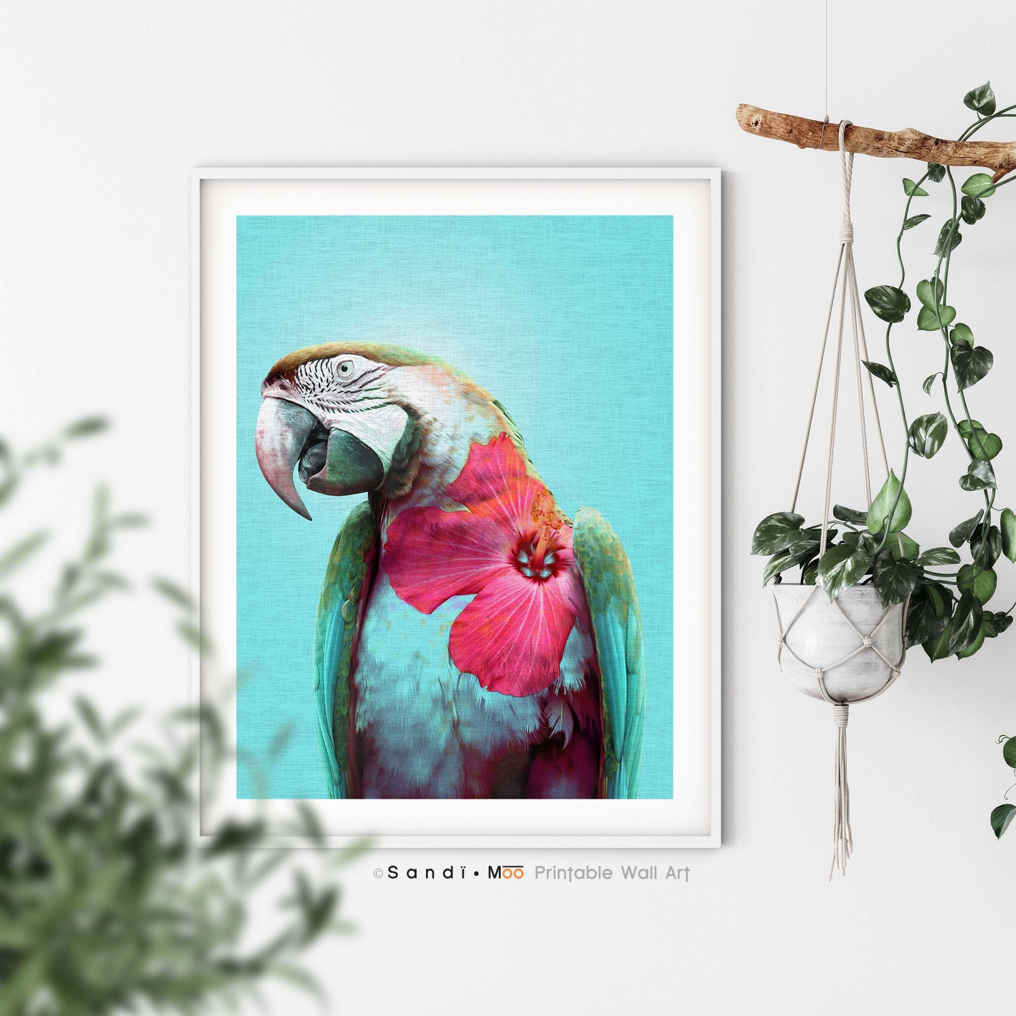Parrot Print Scarlet Macaw Printable Poster Tropical - Etsy