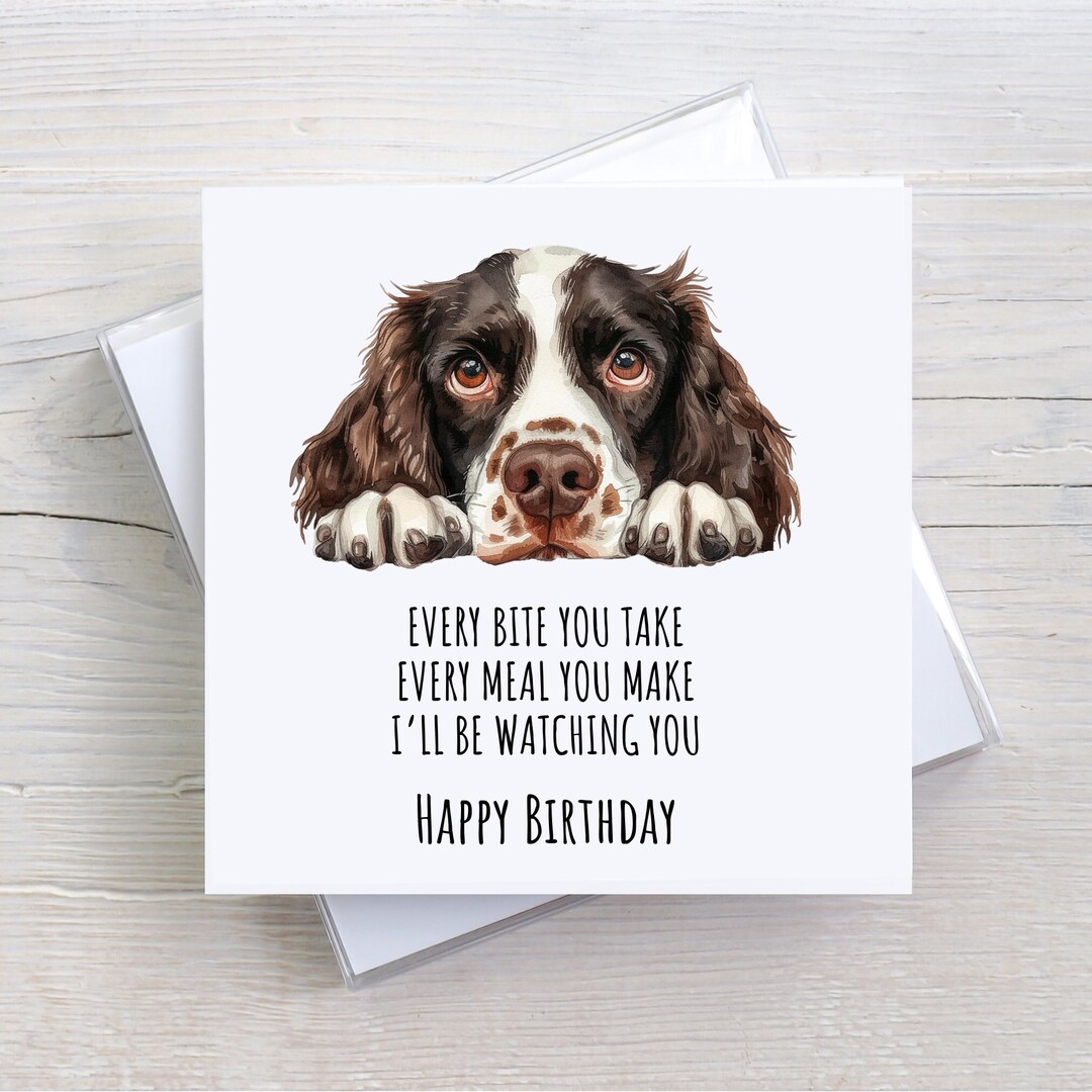Birthday Card, Spaniel Birthday Card, Card From the Dog, Funny, Humour ...