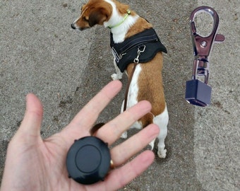 tiny dog leash