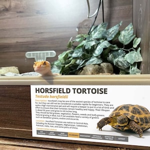 Gepersonaliseerde Horsfield Tortoise Informatiesticker - Decoratie voor Vivarium / Terrarium - Perfect reptielcadeau - Glanzend vinyl