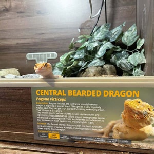 reptile enclosure labels Bearded Dragon Information sticker - Glossy vinyl water-resistant paper - Perfect reptile gift - Gecko sticker