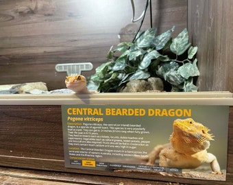 reptile enclosure labels Bearded Dragon Information sticker - Glossy vinyl water-resistant paper - Perfect reptile gift - Gecko sticker