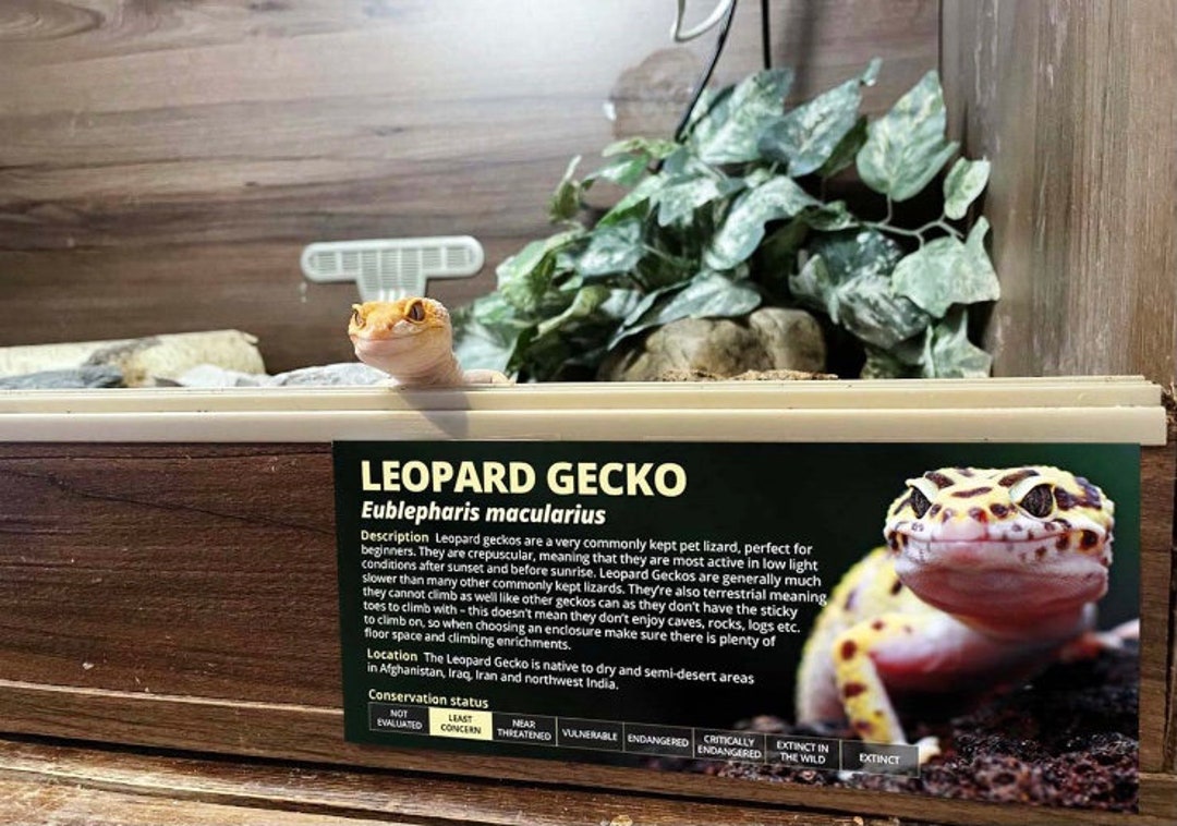 Reptile Enclosure Labels Leopard Gecko Information Sticker - Glossy ...