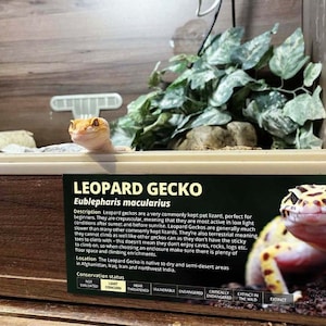 reptile enclosure labels Leopard Gecko Information sticker - Glossy vinyl water-resistant paper - Perfect reptile gift - Gecko sticker