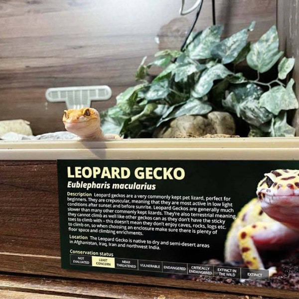 reptile enclosure labels Leopard Gecko Information sticker - Glossy vinyl water-resistant paper - Perfect reptile gift - Gecko sticker