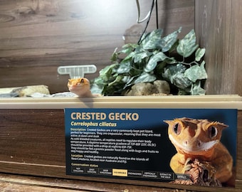 Personalised Crested Gecko Waterproof Information Sticker - Decoration for Vivarium / Terrarium - Perfect Reptile Gift - Glossy Vinyl
