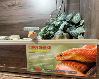 Personalised Corn Snake Information Sticker - Decoration for Vivarium / Terrarium - Perfect Reptile Gift - Glossy Vinyl
