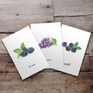 Lot de 3 cartes postale illustrées - Fruits & légumes à l'aquarelle - La mûre, le raisin et la myrtille