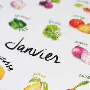 May include: A watercolor illustration of a calendar page for January with various fruits and vegetables, including a pear, a turnip, an onion, a pumpkin, and a lemon. The word "Janvier" is written in black cursive.