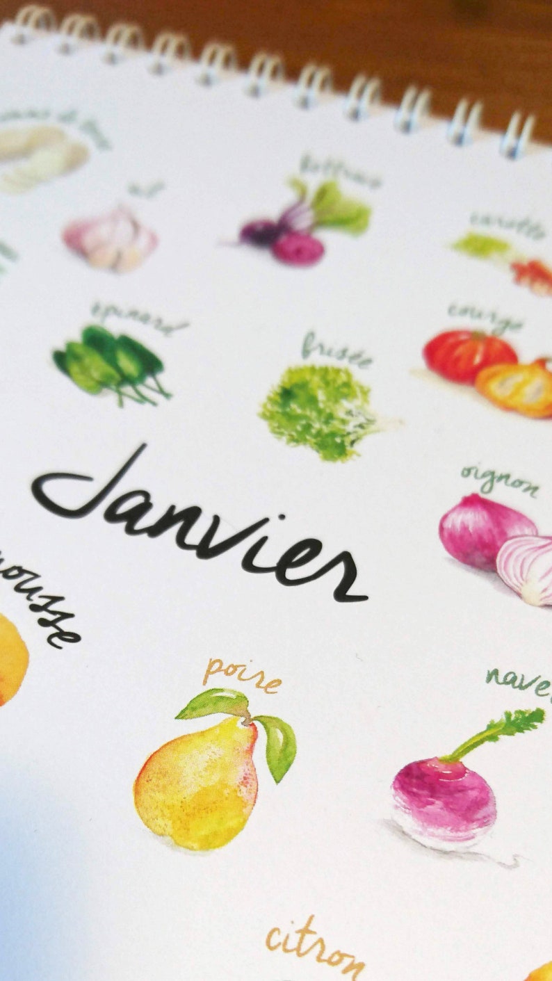 May include: A watercolor illustration of a calendar page for January with various fruits and vegetables, including a pear, a turnip, an onion, a pumpkin, and a lemon. The word "Janvier" is written in black cursive.