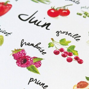 May include: A watercolor illustration of various fruits and vegetables, including a red pepper, tomatoes, raspberries, plums, and a peach. The illustration is titled "Juin" which is French for June.