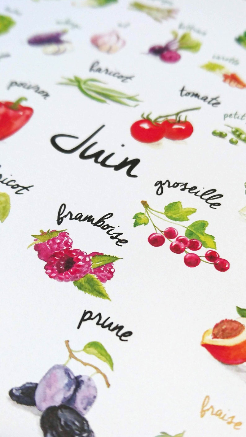 May include: A watercolor illustration of various fruits and vegetables, including a red pepper, tomatoes, raspberries, plums, and a peach. The illustration is titled "Juin" which is French for June.