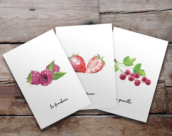 Set of 3 cards - Watercolor Fruits - Strawberry, raspberry, currant / Blackberry, grape, blueberry