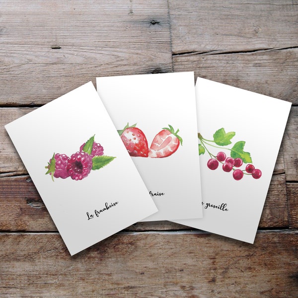 Lot de 3 cartes postale illustrées - Fruits & légumes à l'aquarelle - Fraise, framboise et groseille
