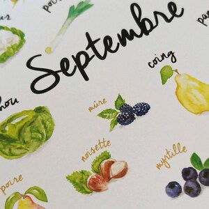 May include: A watercolor illustration of fruits and vegetables in season during September. The illustration features a variety of fruits and vegetables, including pears, figs, grapes, corn, and tomatoes. The text "Septembre" is written in black cursive.