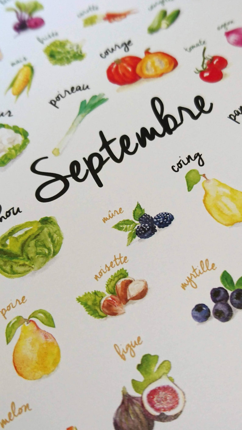 May include: A watercolor illustration of fruits and vegetables in season during September. The illustration features a variety of fruits and vegetables, including pears, figs, grapes, corn, and tomatoes. The text "Septembre" is written in black cursive.