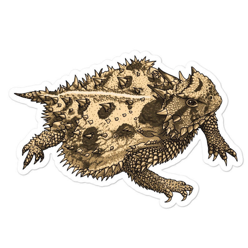 Texas Horned Lizard Sticker Vinyl DieCut Horny Toad Etsy