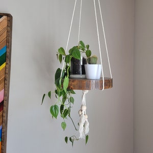 Hanging plant shelf / planter