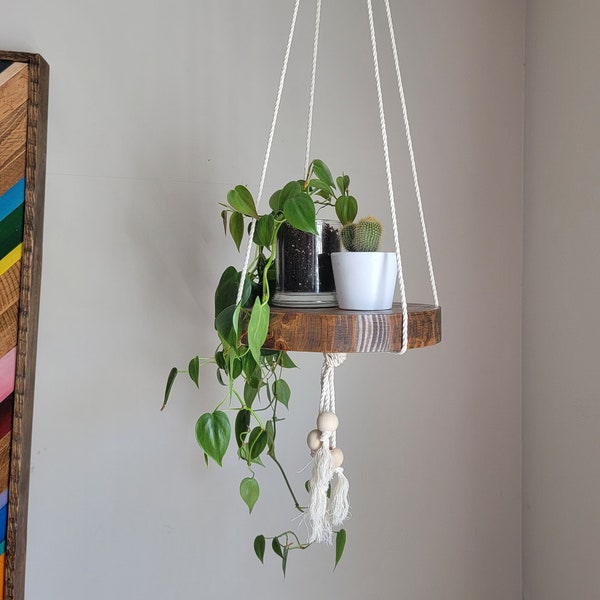 Hanging plant shelf / planter