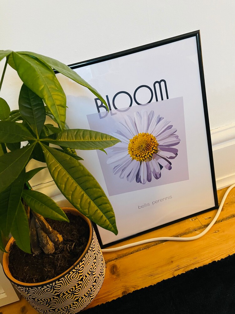 Shop BELLIS PERENNIS Flower In Bloom Daisy Print