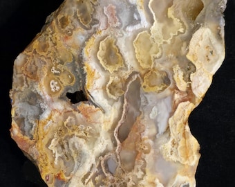 Unique plume agate end cut