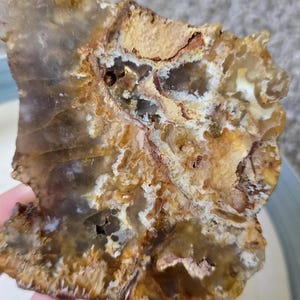 Plume agate end piece