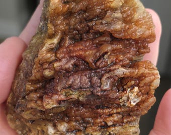 Red botryoidal agate on plume agate