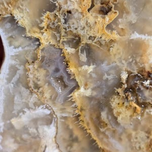 Plume agate end piece