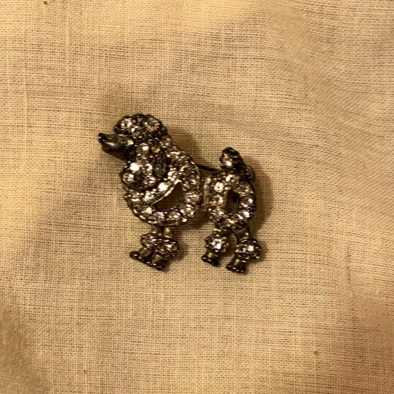 Vintage Rhinestone Poodle Brooch 1950s - image 1