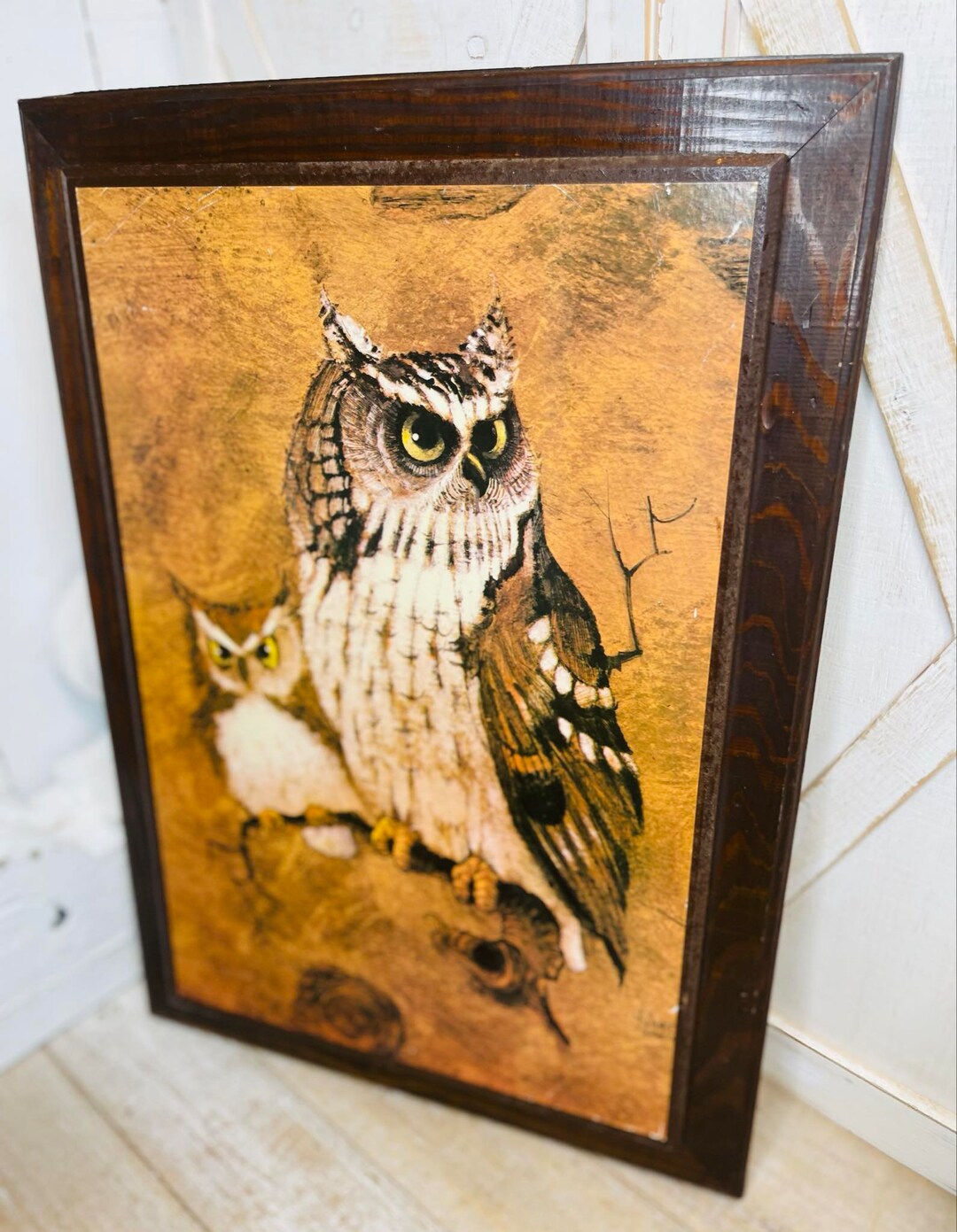 Vintage Owl Wall Decor