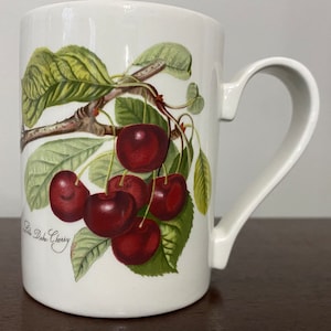 Retired Pomona Portmeirion &quot;The Goddess of Fruit&quot; Made in England Your Choice Mug