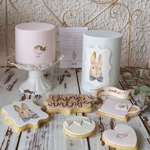 Fake Cake-Hogben Pottery Inspire- Peter Rabbit Cake - Cookies Paint-Biscotti Dipinti - Torte Dipinte -Beatrix Potter Inspire - Birthday Cake