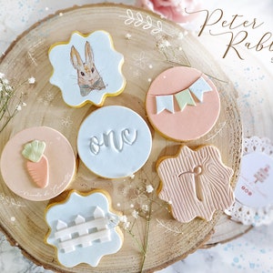 Peter Rabbit Cookies- Cookies Paint-Biscotti Dipinti - Torte Dipinte -Beatrix Potter Inspire - Birthday -Peter Rabbit Theme