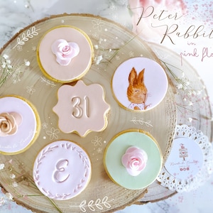 Peter Rabbit Cookies-Pink Flopsy Cookies- Cookies Paint-Biscotti Dipinti -Torte Dipinte -Beatrix Potter Inspire- Birthday-Pink Flopsy Theme