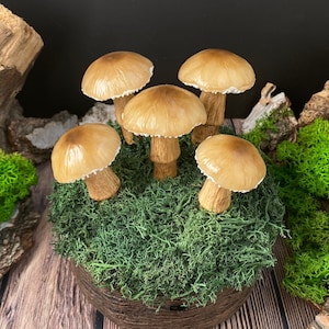 Braune Pilzlampe Psychedelische Lampe Fungus Stimmung Led-Licht Pilznachtlicht Pilzskulptur USB-Nachtlicht