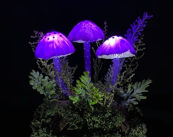 Puede incluir: Tres setas luminosas de color púrpura con manchas blancas están dispuestas en una pequeña maceta de musgo. La maceta está hecha de un material marrón que se asemeja a la corteza de un árbol.