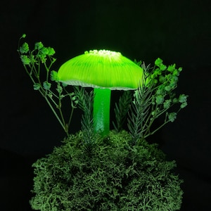 Green Mushroom Night Light: Glowing Desk Lamp, Forest Decor (USB)