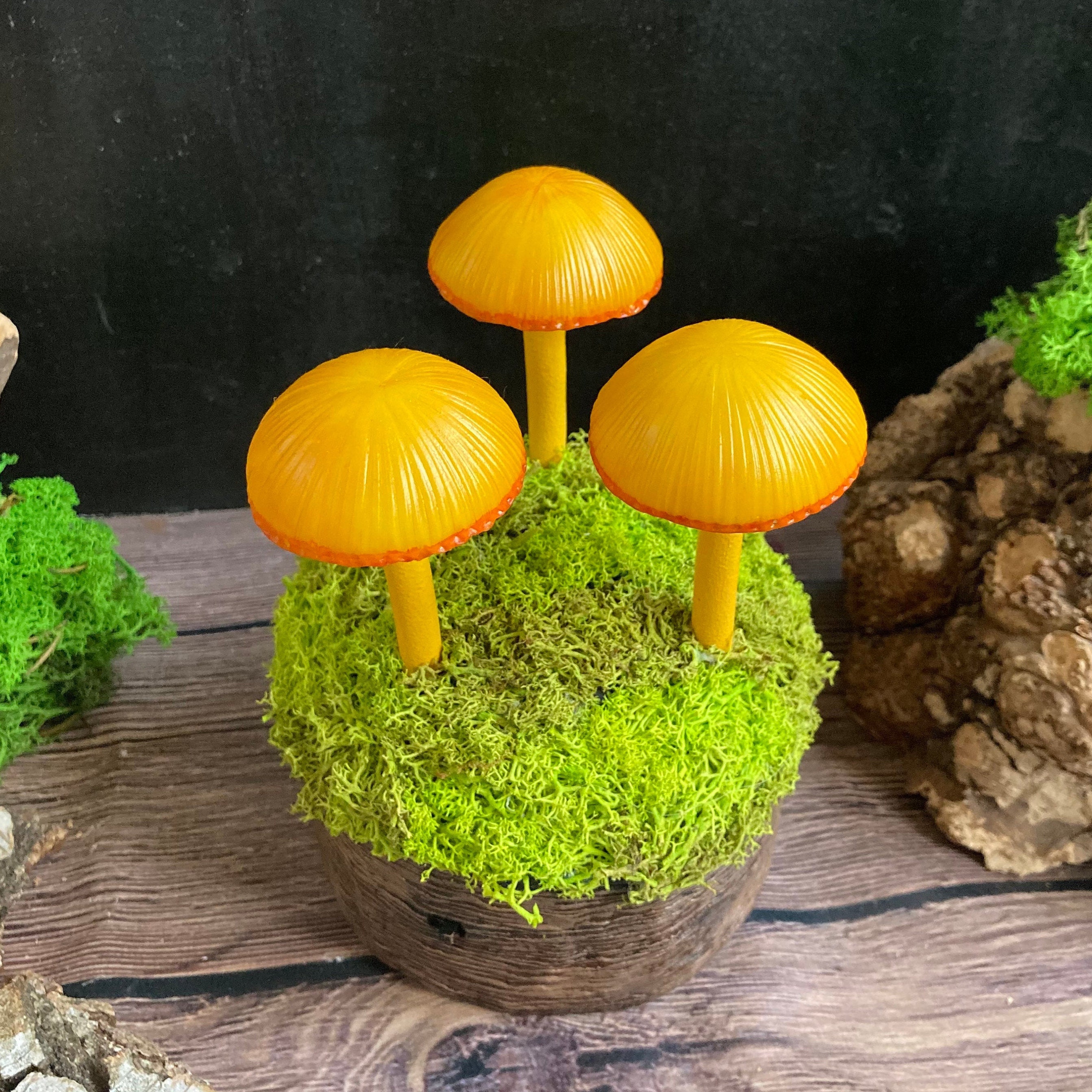 Mushroom lamp Mushrooms night light Fungi LED Glowing in the Etsy