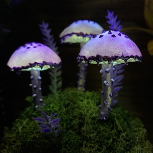 May include: Three purple and white mushrooms with a dark purple rim are arranged on a bed of green moss. The mushrooms have a textured, bumpy surface and are illuminated from above.