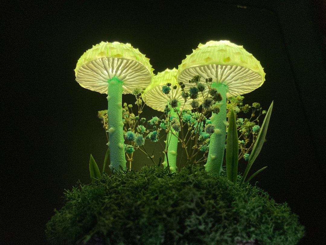 Лампа с мятным грибом USB Trippy Lights Грибной ночник Волшебный ...