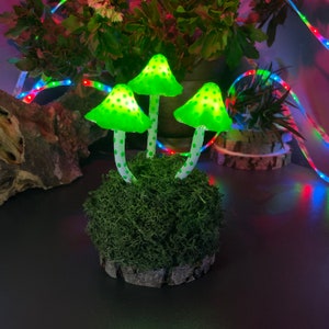 Green Magical Mushroom Night Light Mushroom Lamp for Bedroom and Kids Room Decor Unique Housewarming Gift for Her Table lights