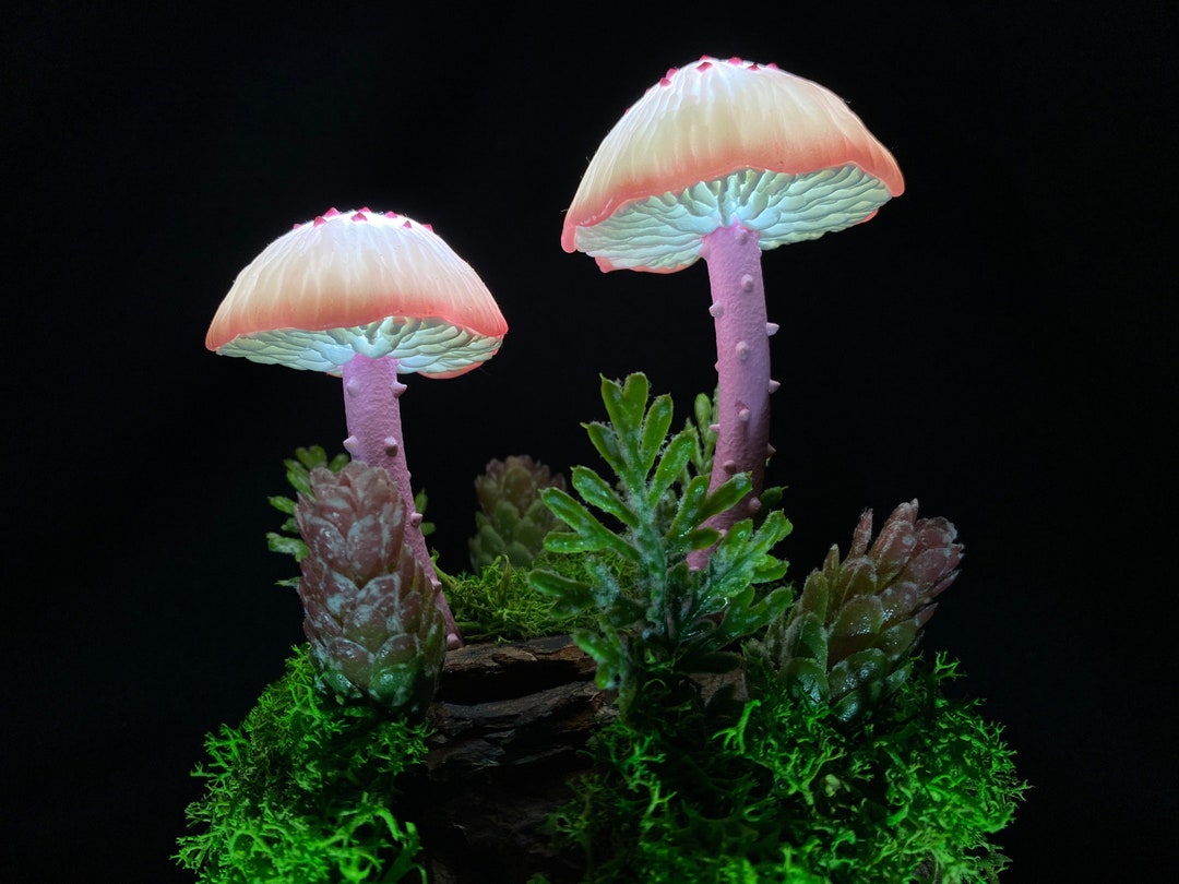 Розовая грибная лампа Fairy Night Light Cottagecore Эстетическая ...