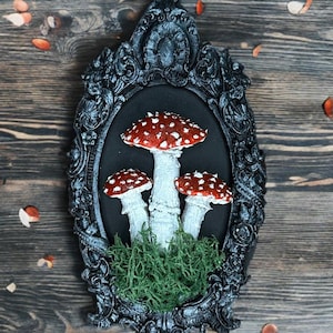 Goblincore paddenstoel lijst zilveren heksen muurkunst donker Academia gotisch decor Cottagecore cadeau donker boho Victoriaans ingelijst
