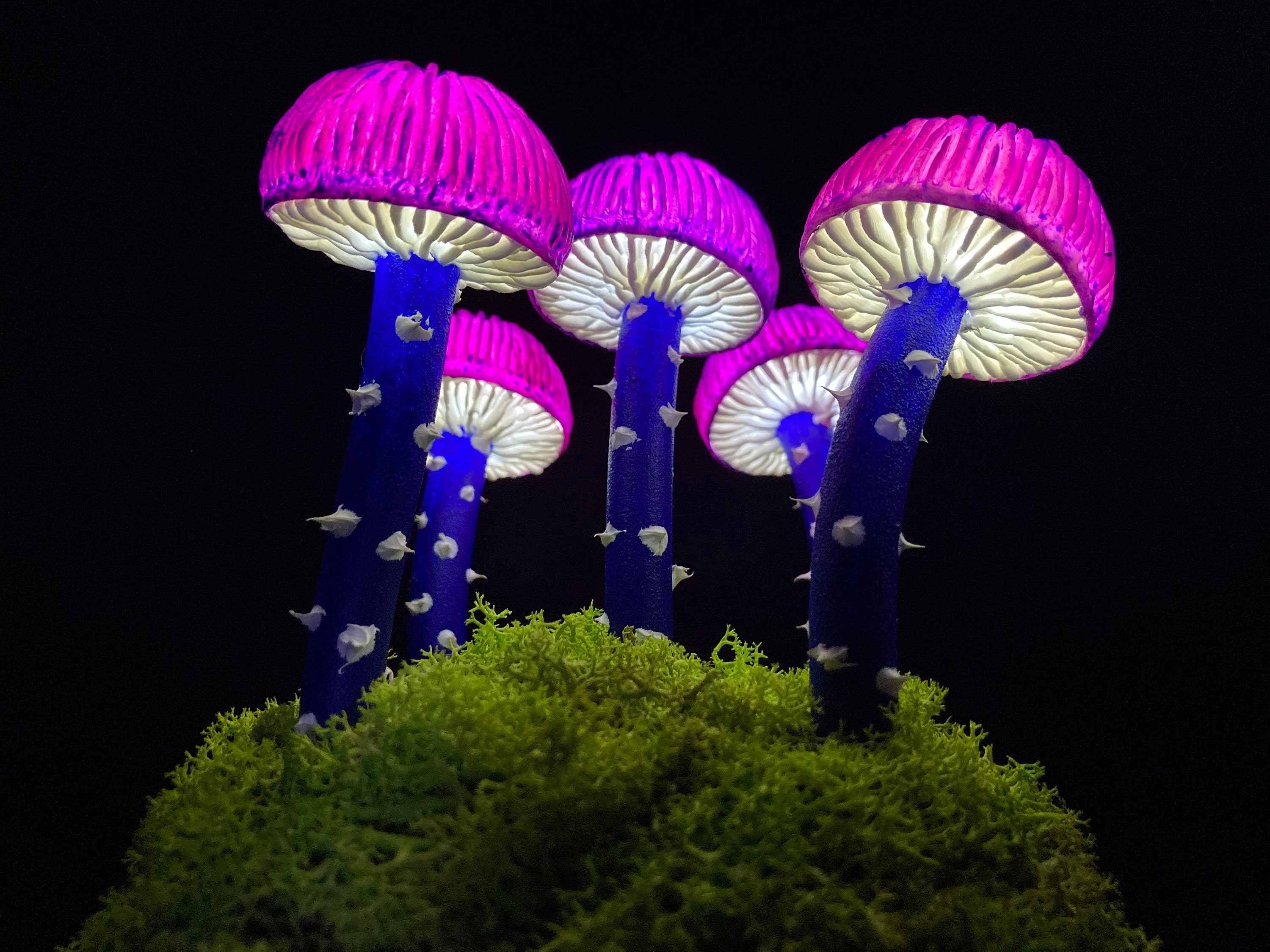 Glowing mushroom lamp Psychedelic lamp Fungus mood Led light Etsy
