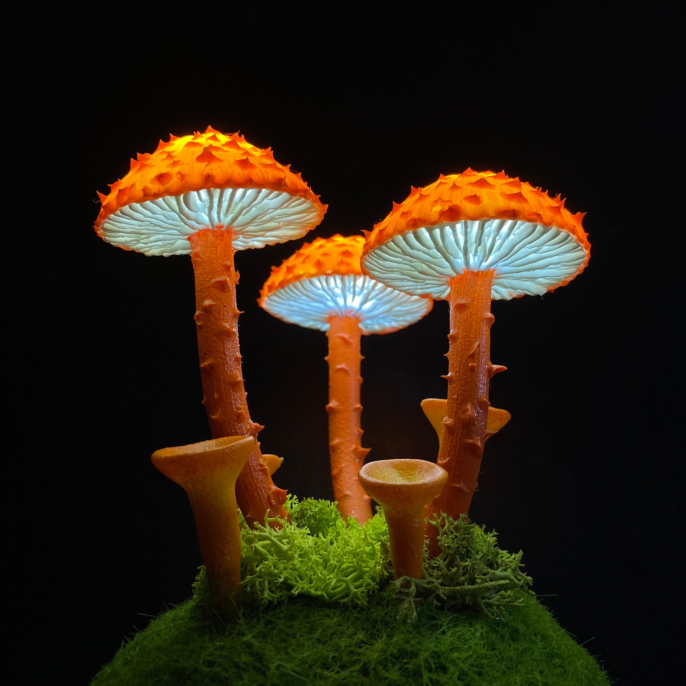 trussel mekanisk samling Orange Mushroom Lamp Cool Night Light Psychedelic Magic Led - Etsy Israel