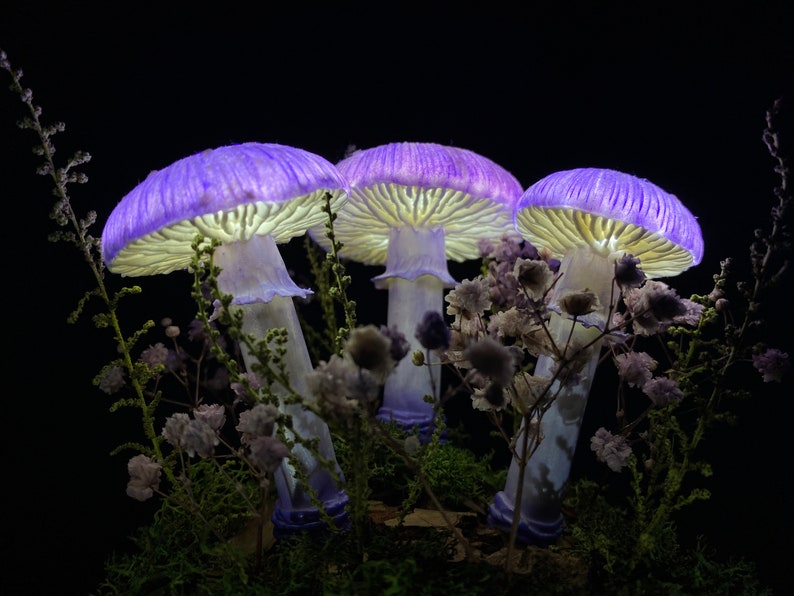 Purple mushroom lamp mushroom lights LED mood lamp stunning lamp nightstand lamp USB night light image 4
