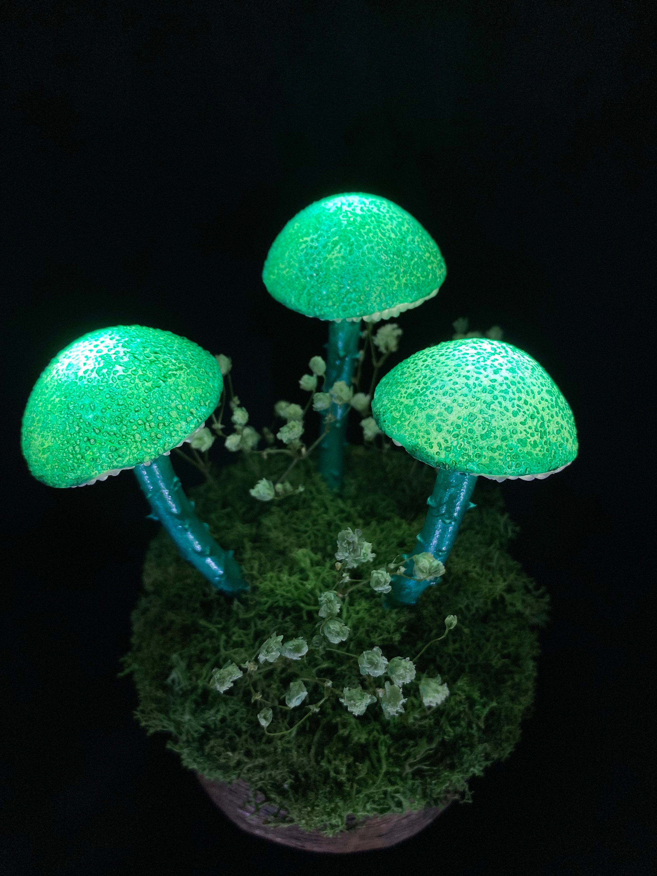 Pilz Lampe aus Schlafzimmer USB Nachtlichter Kleine Tischlampe Büro  Nachtlicht mit USB-Anschluss Magic Gift Fairy Fantasy -  Schweiz