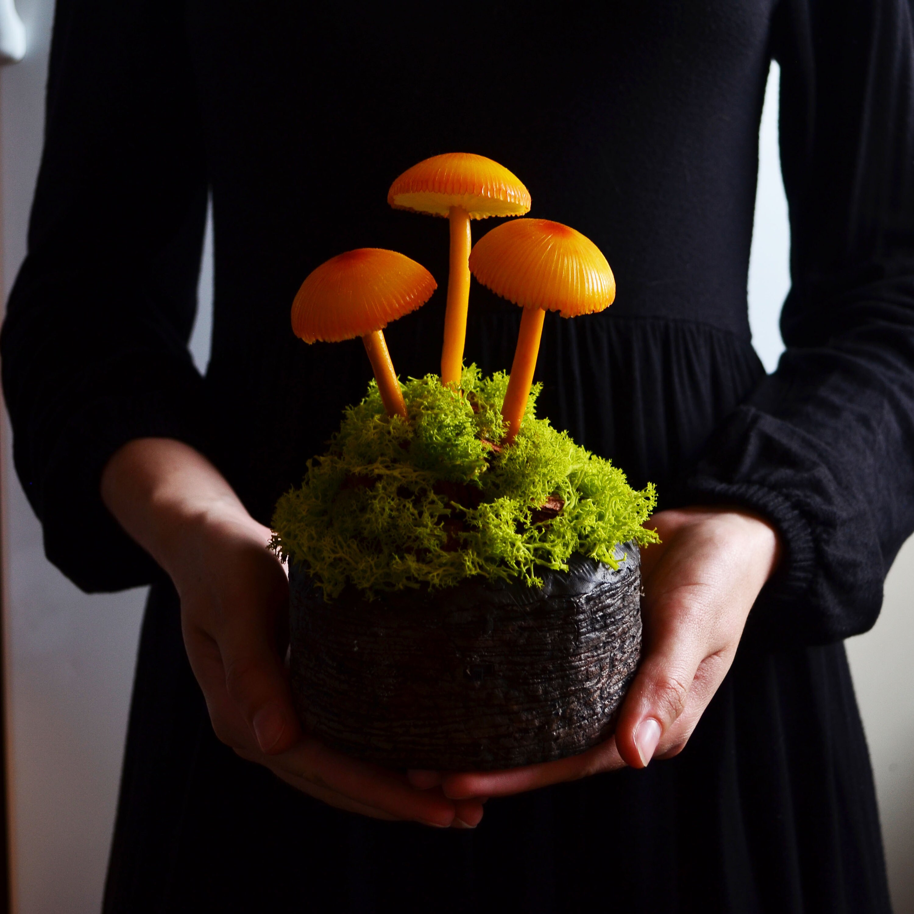 Mushroom lamp Mushrooms night light Fungi LED Glowing in the Etsy