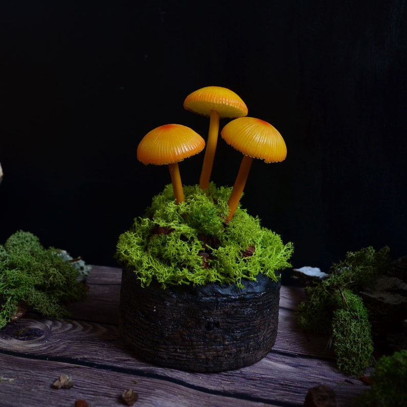 Mushroom lamp Mushrooms night light Fungi LED Glowing in the Etsy